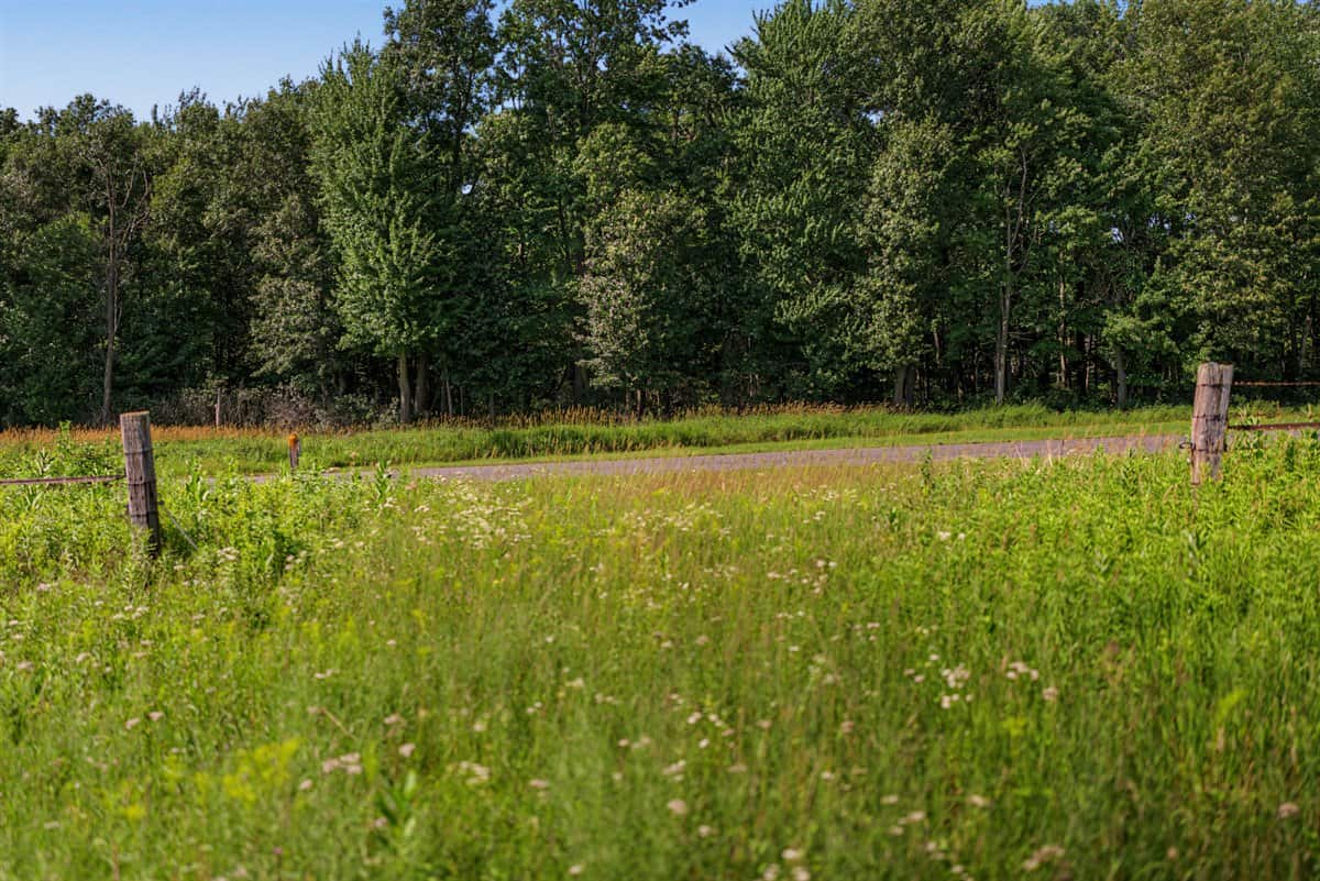 Wisconsin Conservation Land for Sale | 97± Acres in Monroe County