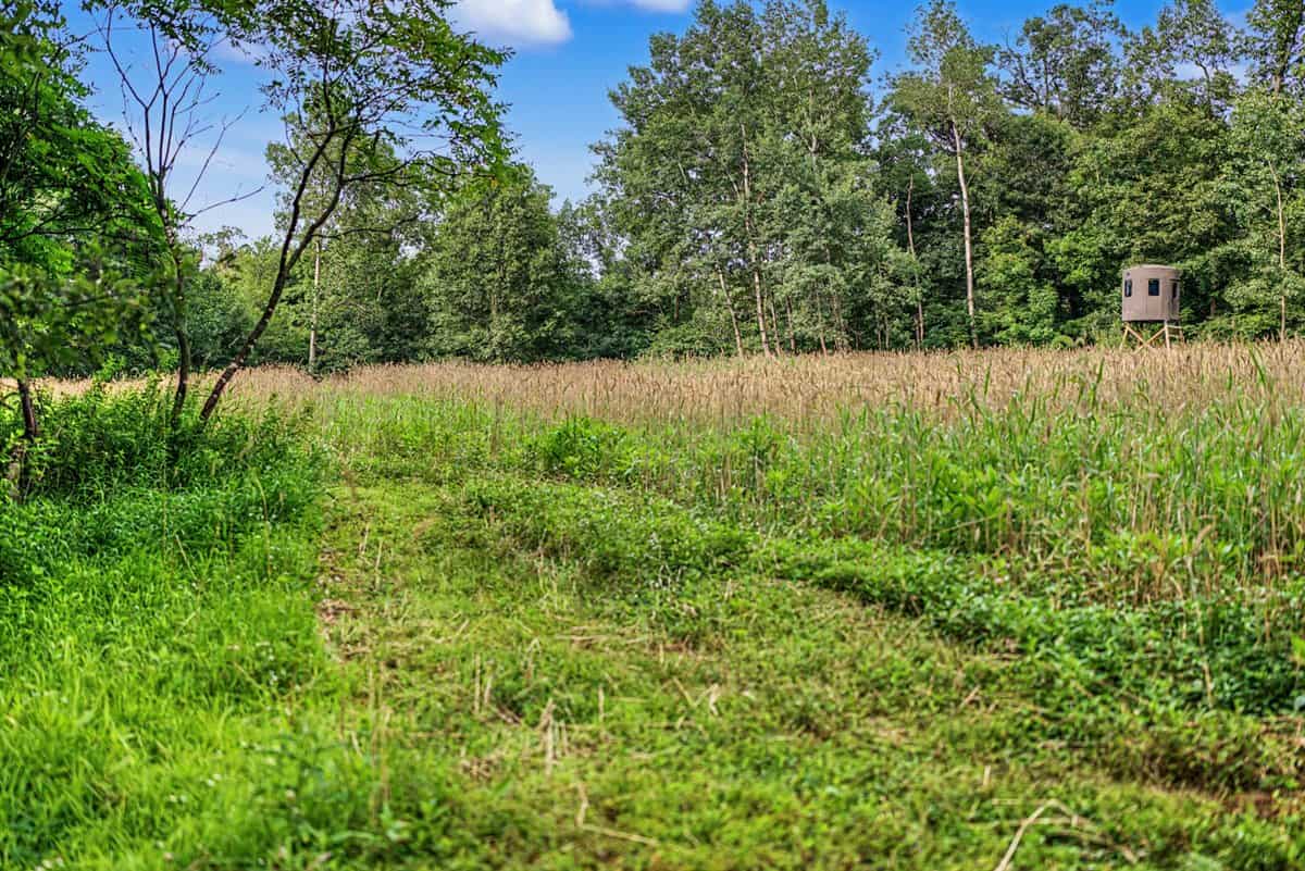 47± Acre Hunting Property with Cabin | Vernon County, Wisconsin