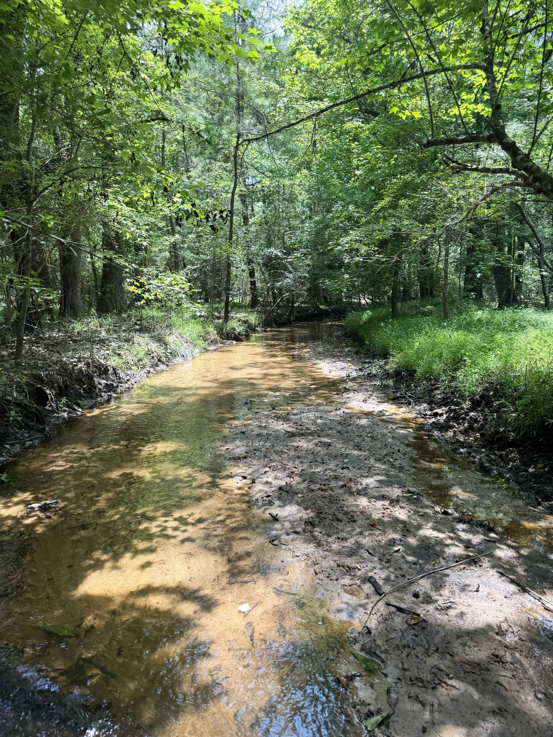 Cotton House Tract: premier 545ac hunting & recreational property in Randolph Cty