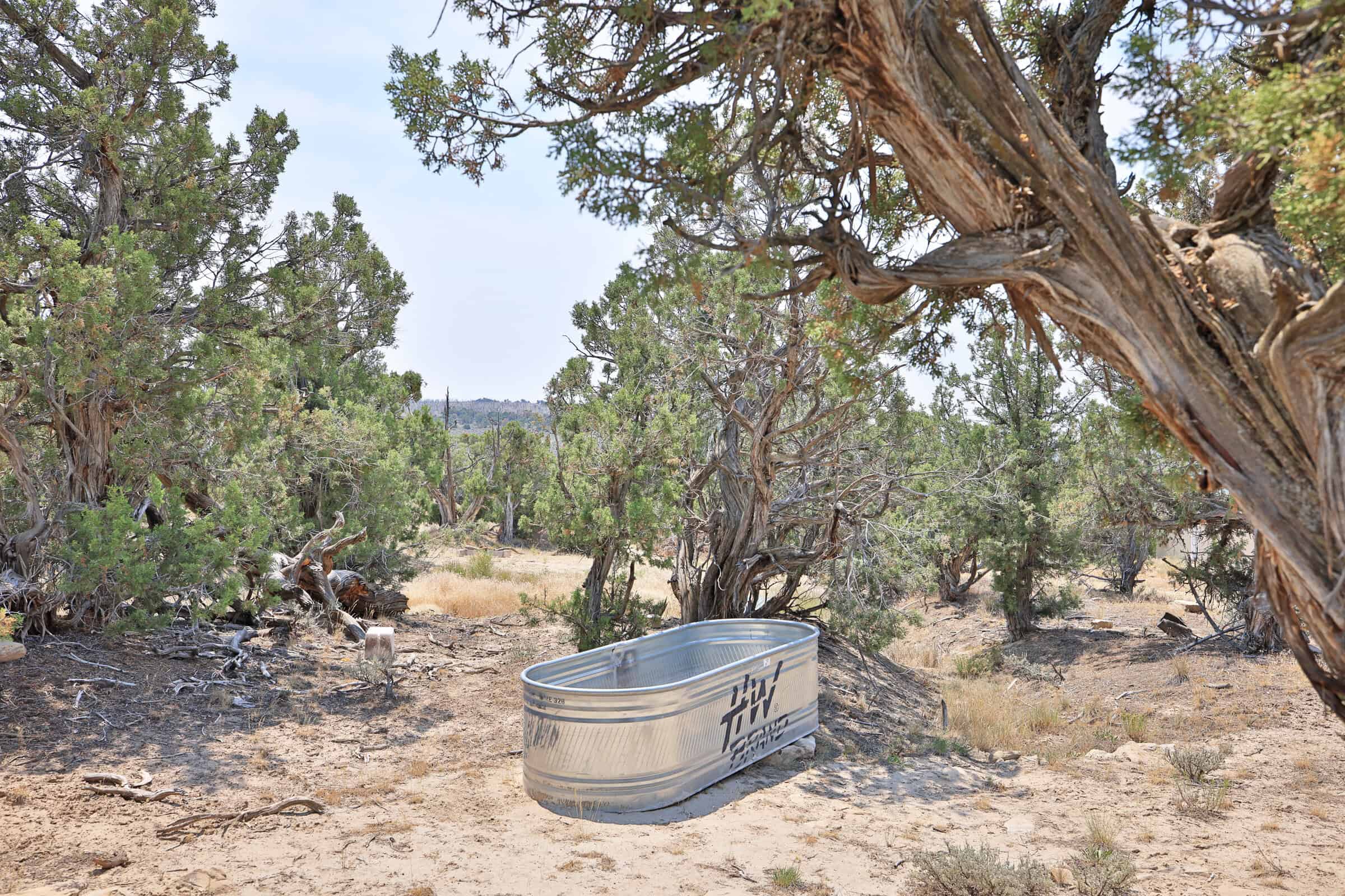 Cabin on 71 Acres in DeBeque Colorado