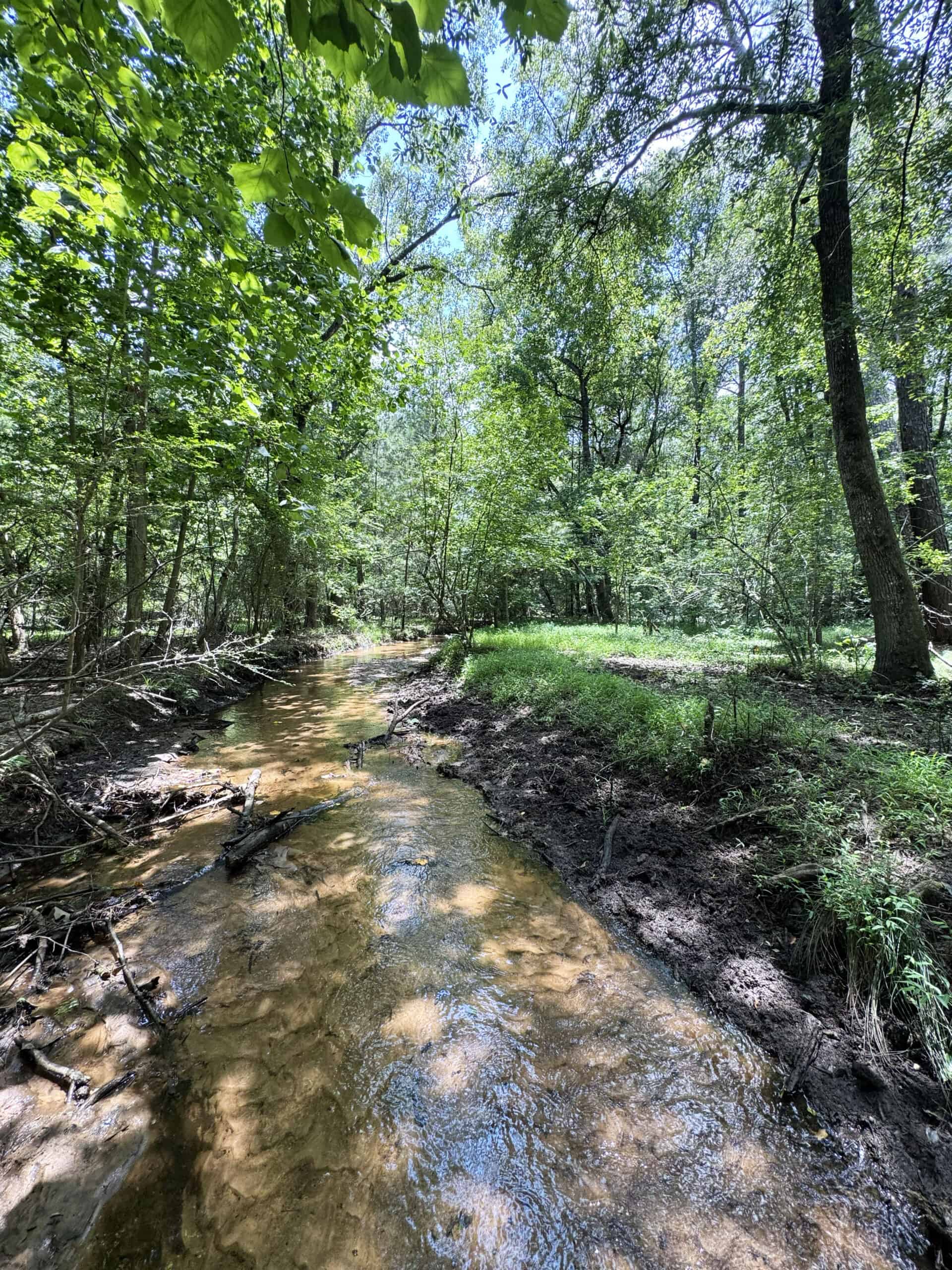 Cotton House Tract: premier 545ac hunting & recreational property in Randolph Cty