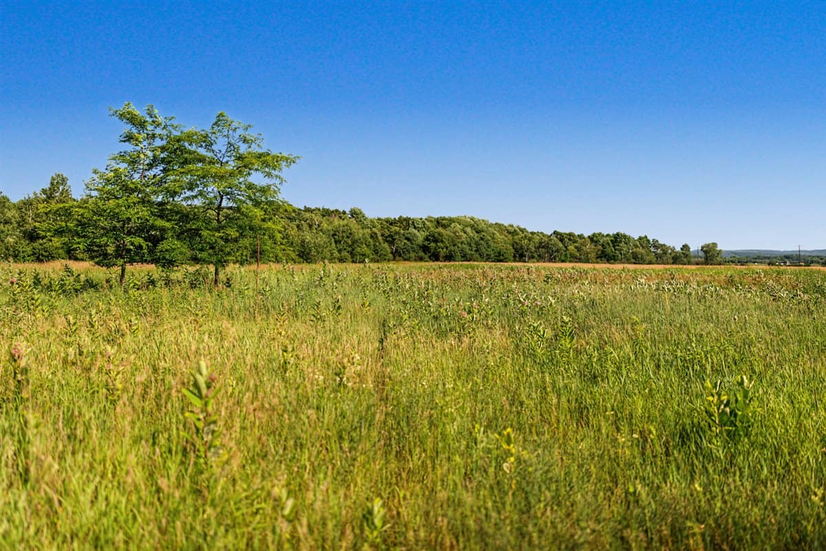 Wisconsin Conservation Land for Sale | 97± Acres in Monroe County