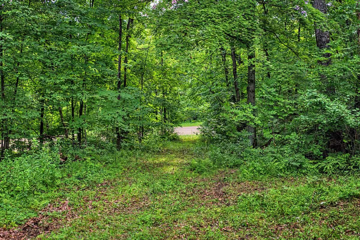 47± Acre Hunting Property with Cabin | Vernon County, Wisconsin