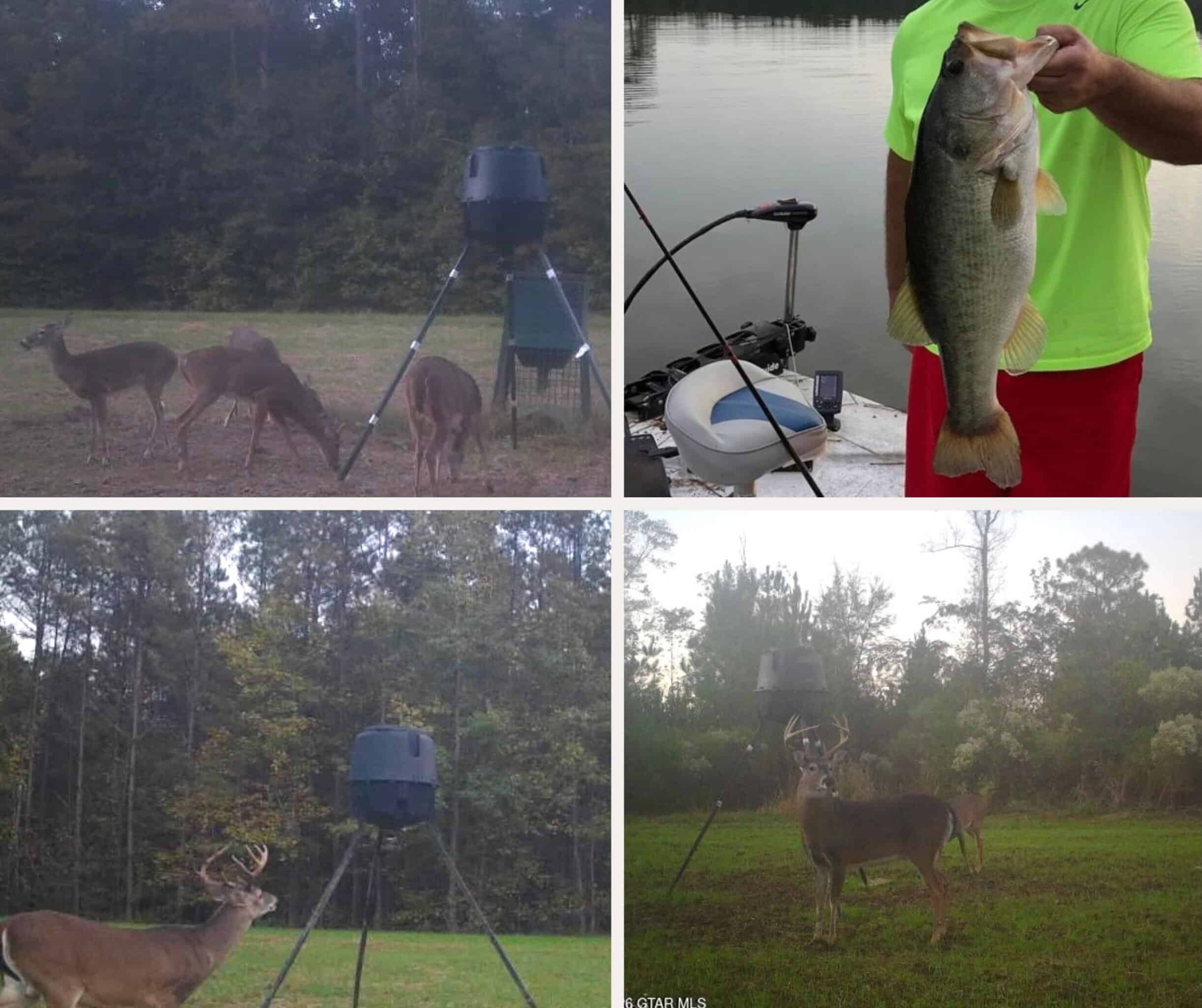 Trophy Bass Fishing and Hunting Property Starkville MS