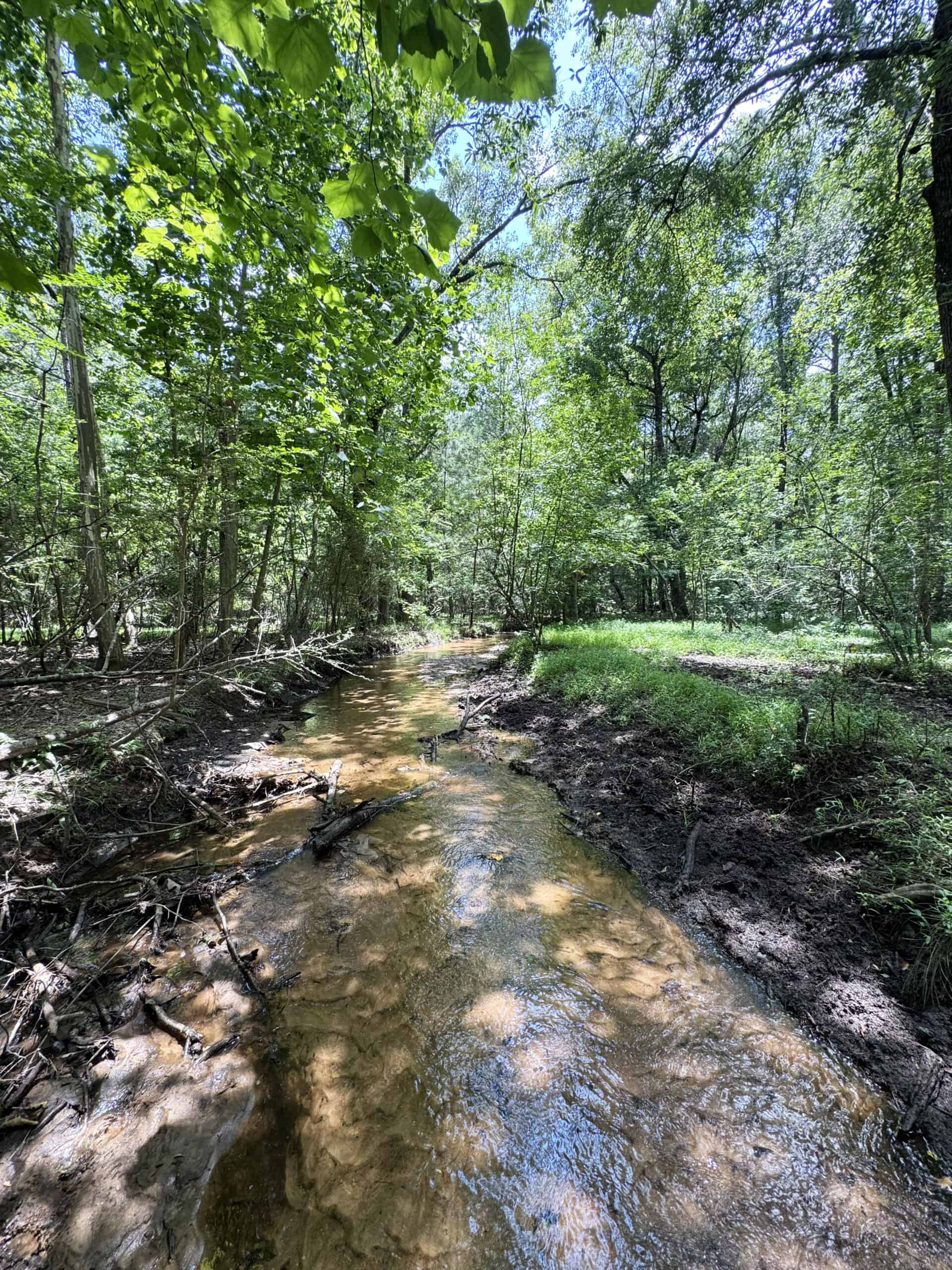Cotton House Tract: premier 545ac hunting & recreational property in Randolph Cty