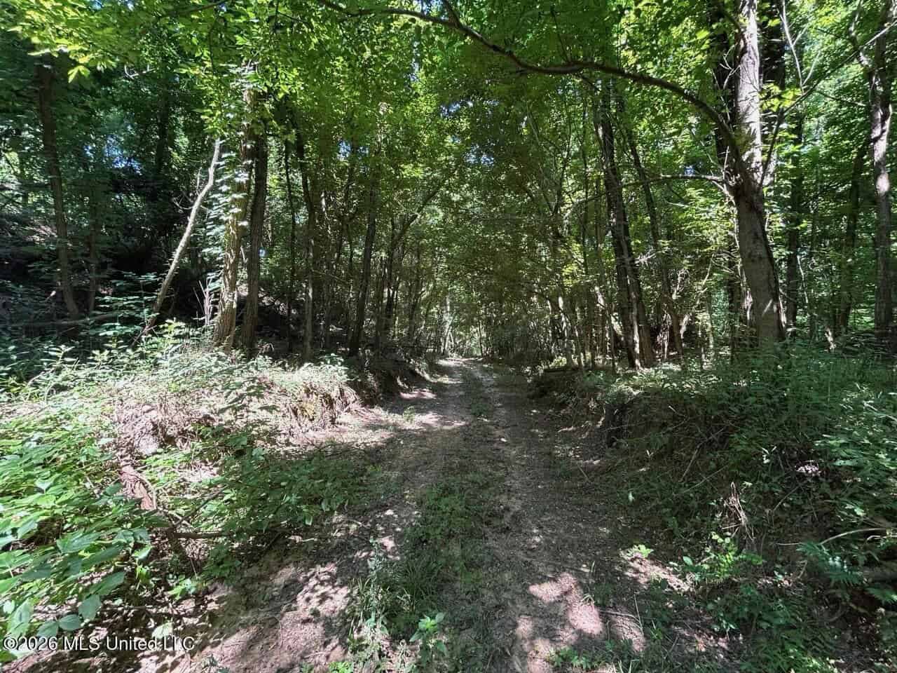 Second Union Hunting Club in Natchez, Mississippi