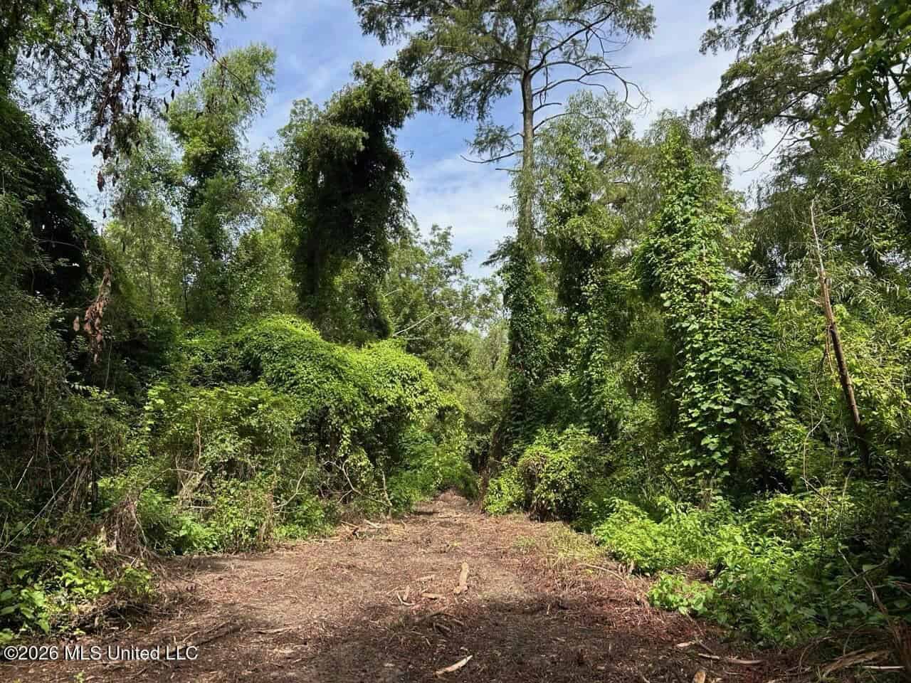 140± Acres in West Feliciana Parish, LA
