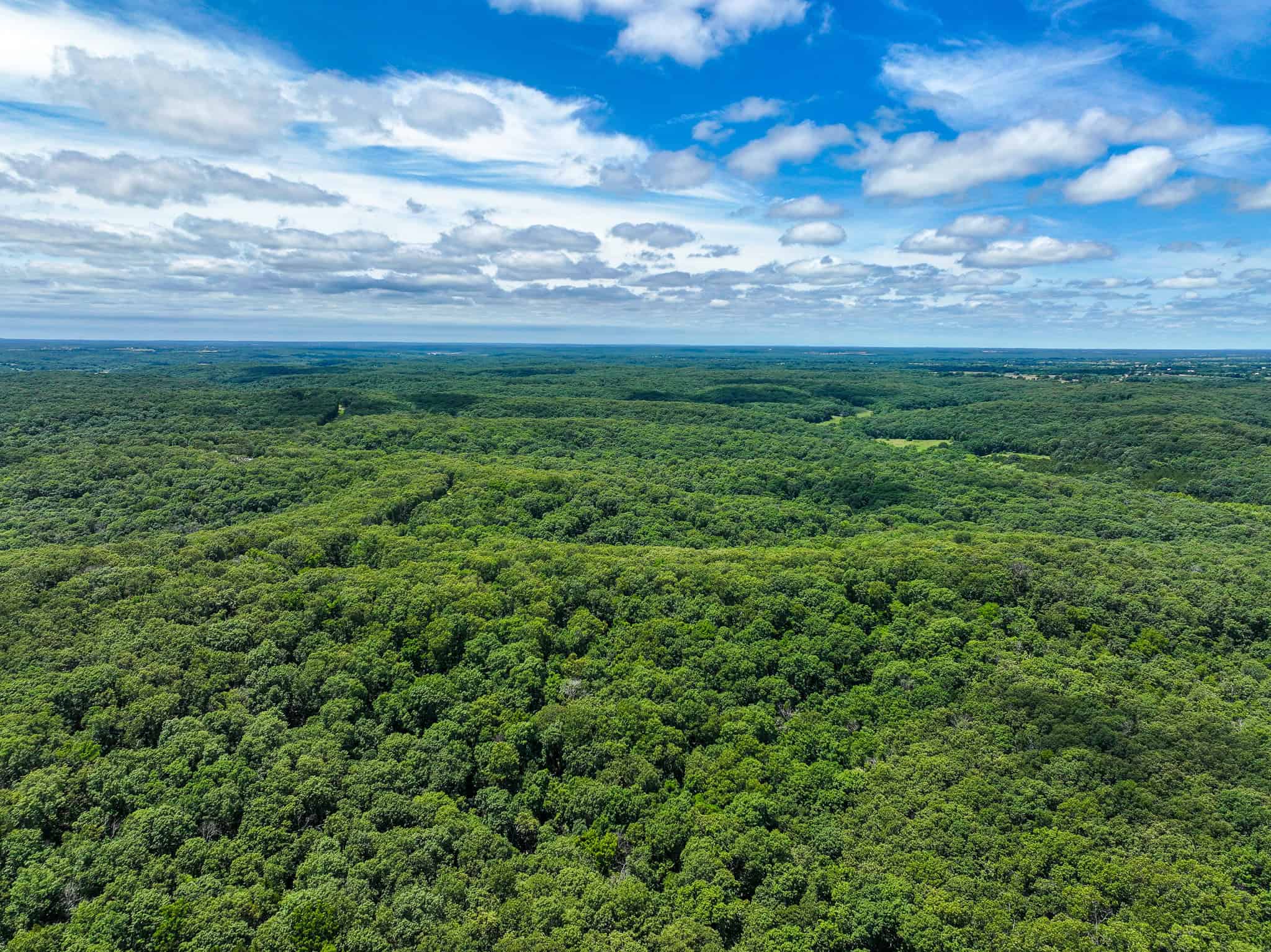 Truman Lake Hunting Property
