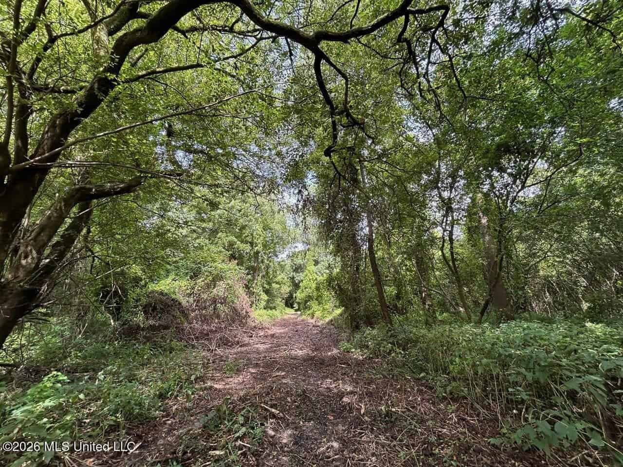 140± Acres in West Feliciana Parish, LA