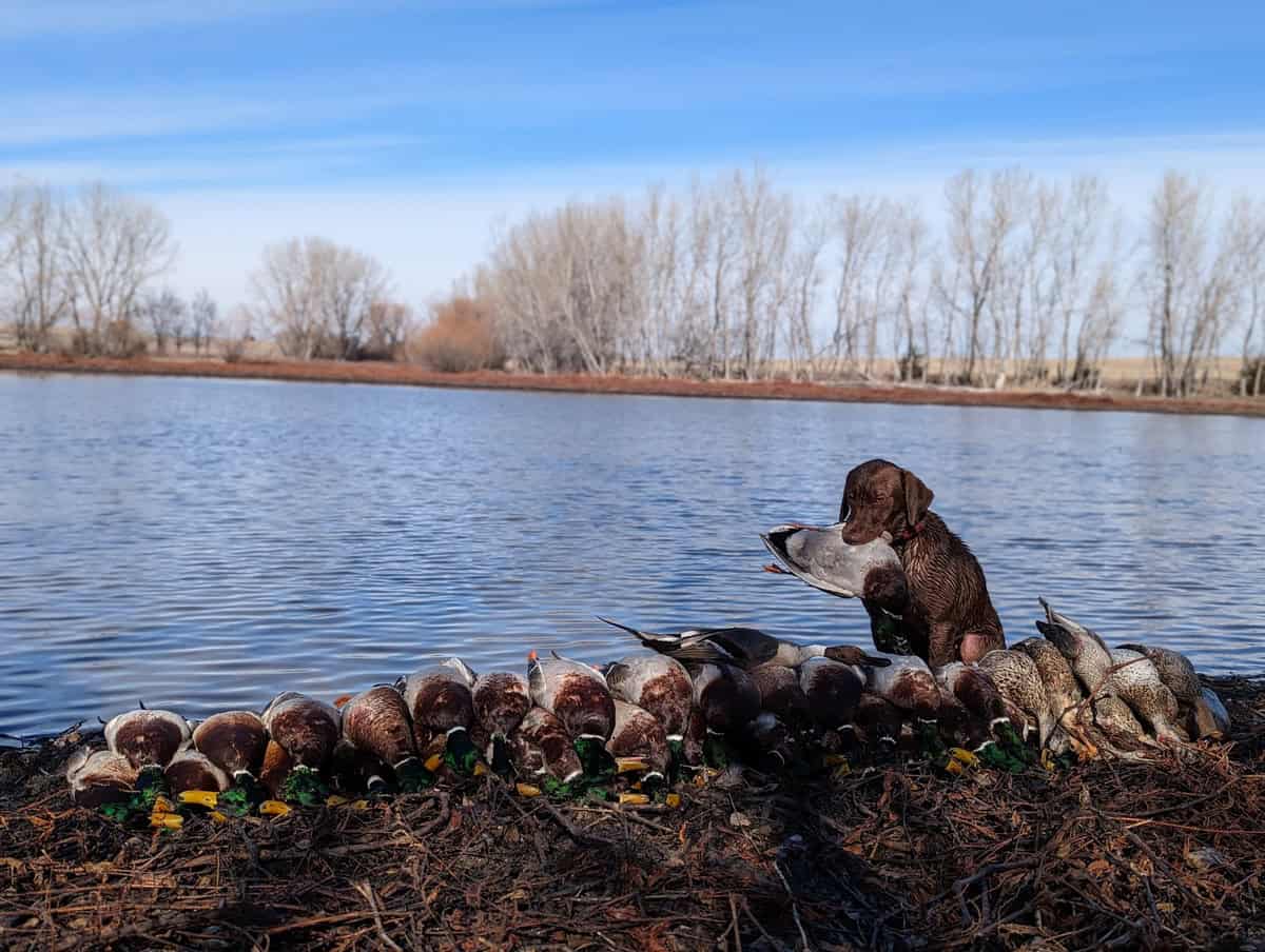 Established Kansas Outfitting Business with Lodge For Sale