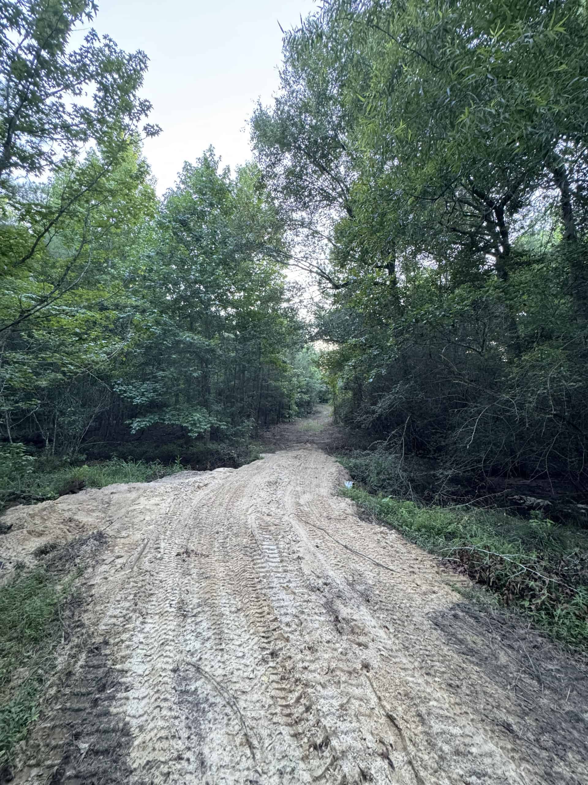 Cotton House Tract: premier 545ac hunting & recreational property in Randolph Cty