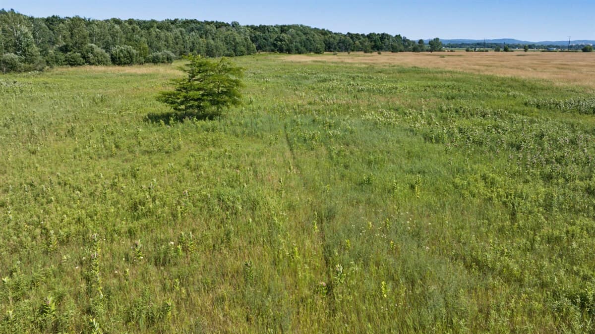 Wisconsin Conservation Land for Sale | 97± Acres in Monroe County
