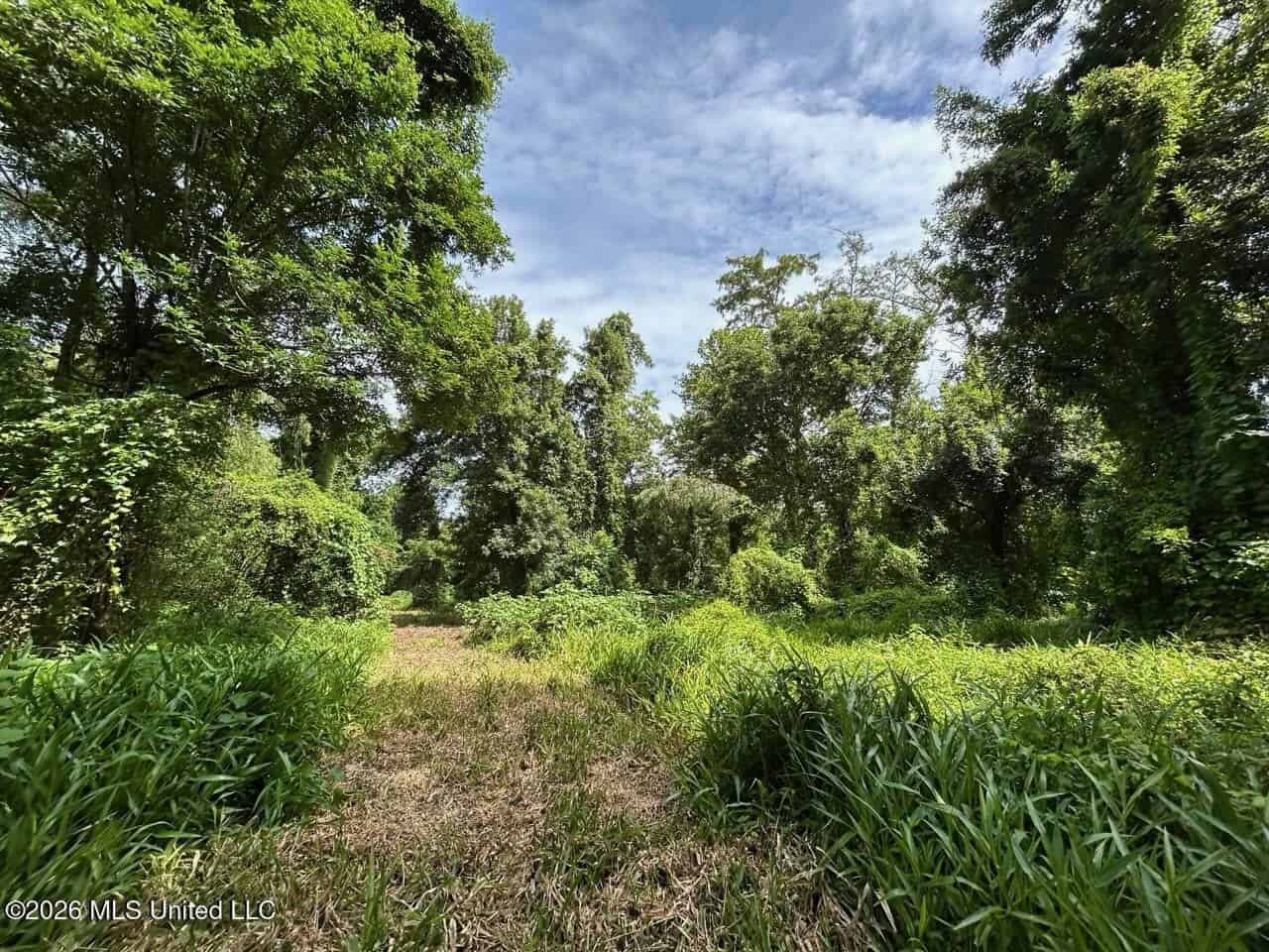 140± Acres in West Feliciana Parish, LA