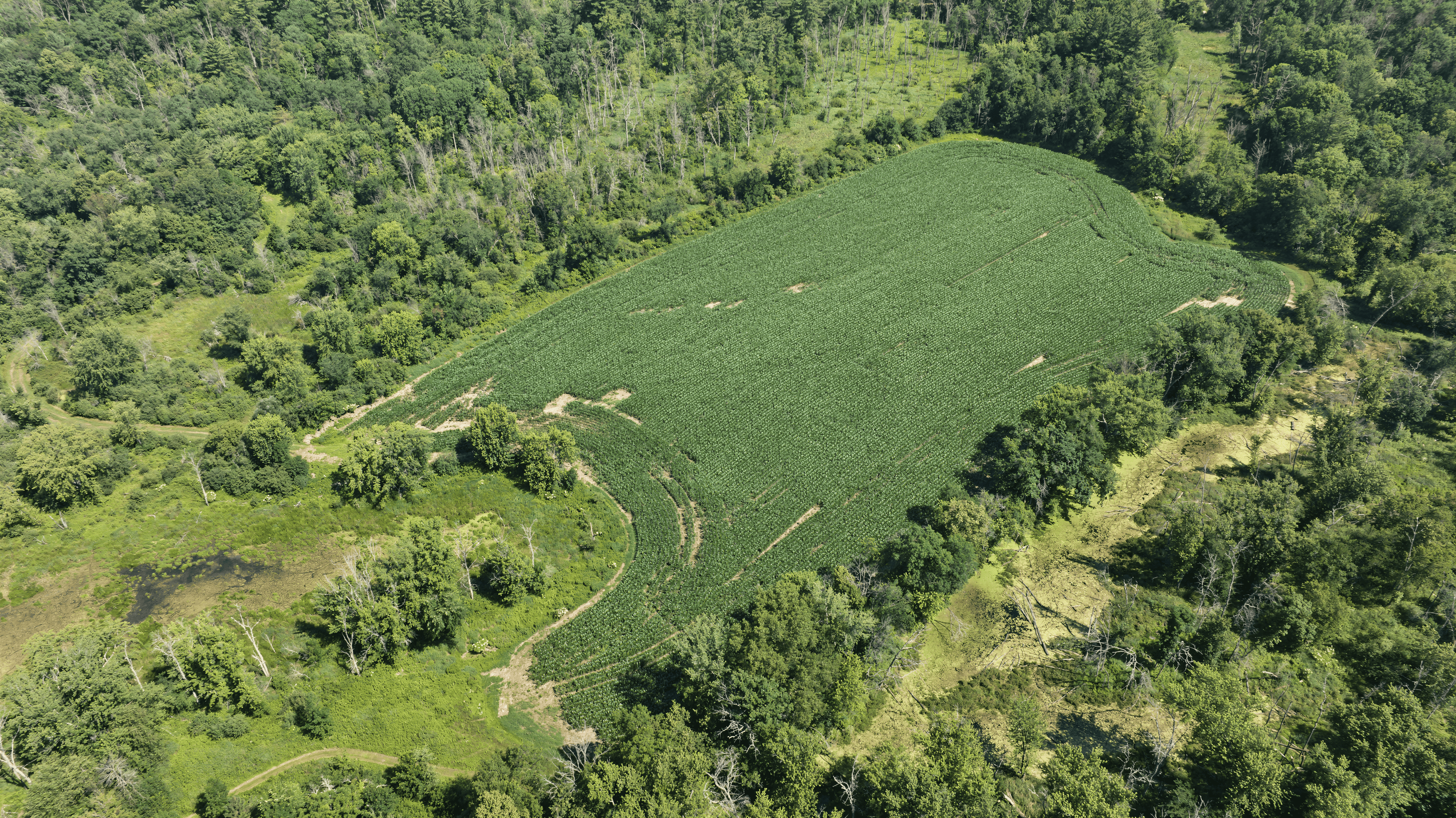 235± ACRE BLACK RIVER WATERFRONT & RECREATIONAL ESTATE