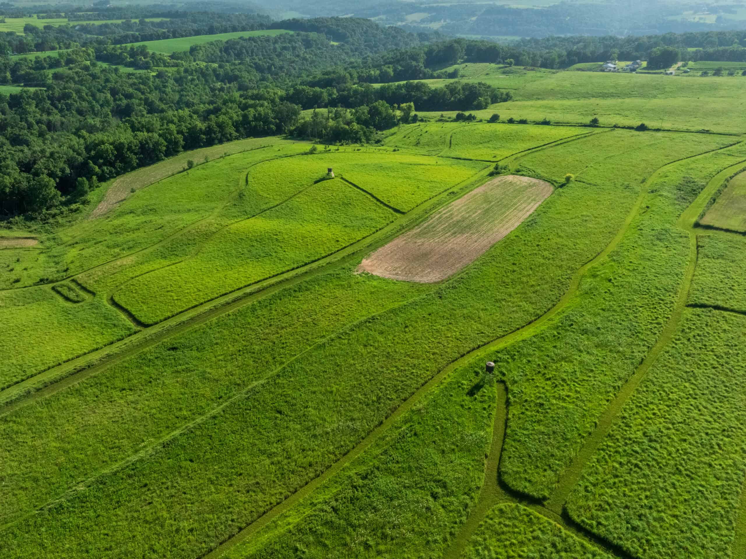 42+/- Acres with 4 Bedroom Home in Decorah IA