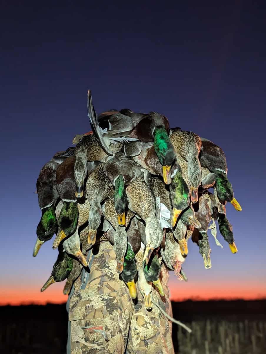 Established Kansas Outfitting Business with Lodge For Sale