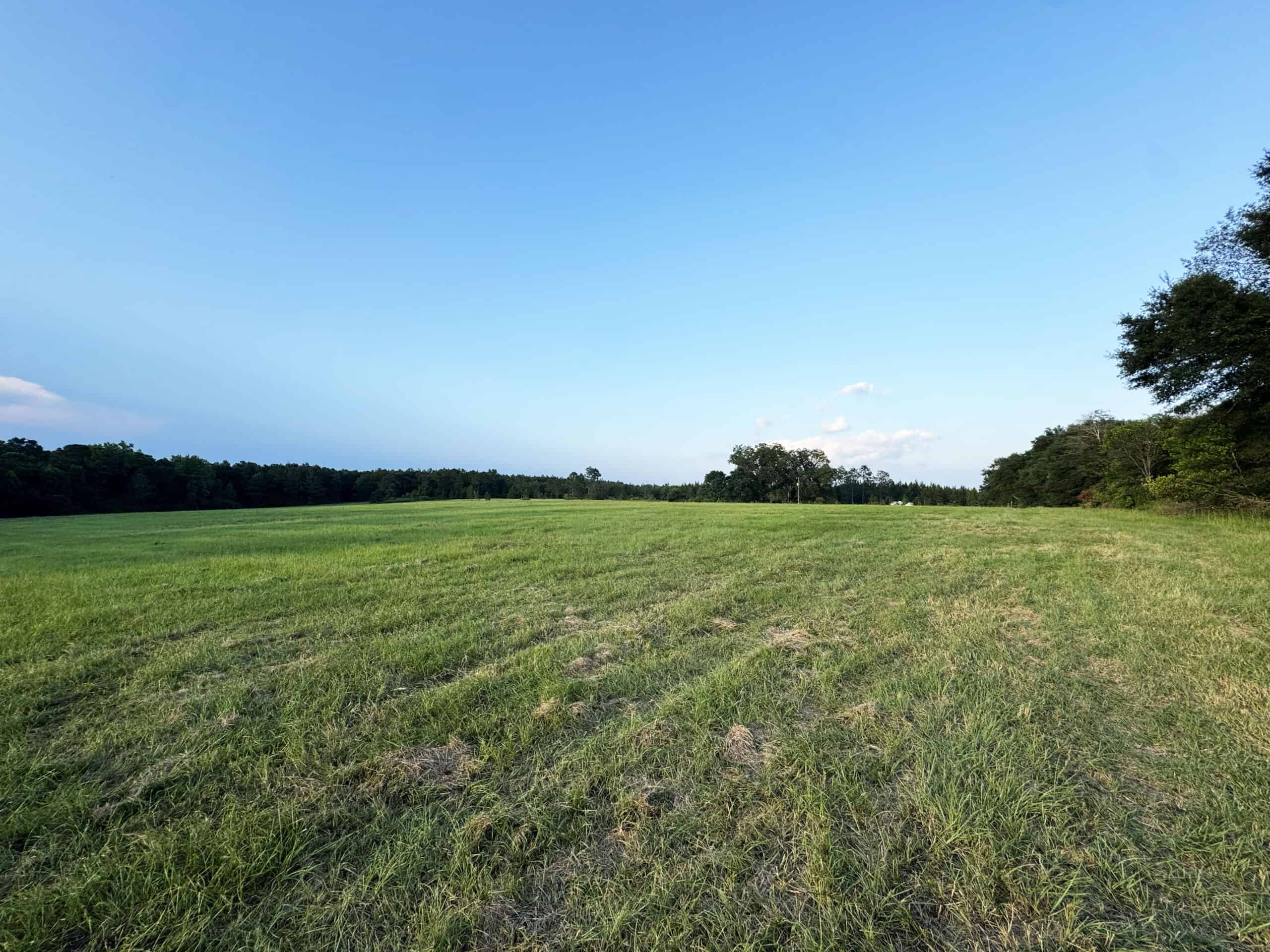 Cotton House Tract: premier 545ac hunting & recreational property in Randolph Cty