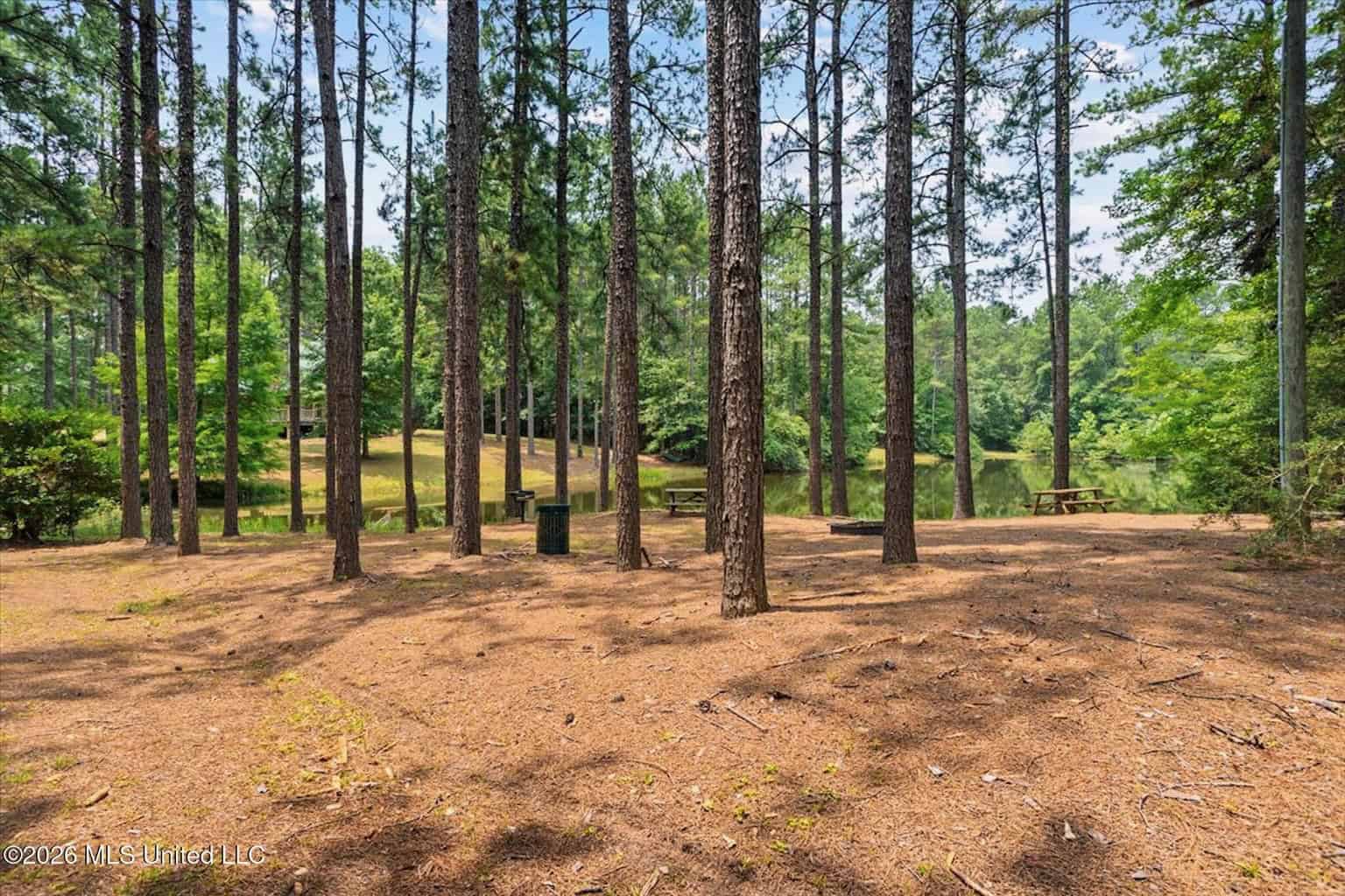 Log Cabin on 25 Acres with Ponds in Southwest MS
