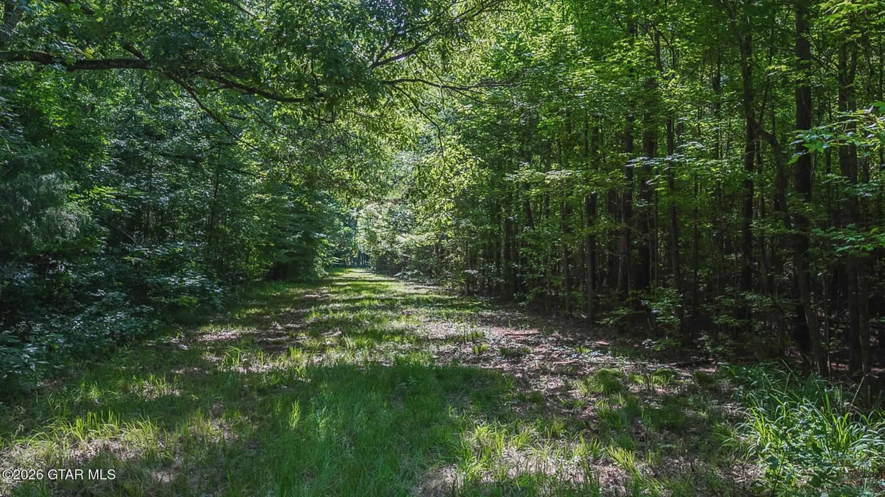 Trophy Bass Fishing and Hunting Property Starkville MS