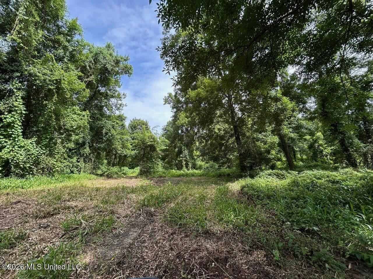140± Acres in West Feliciana Parish, LA