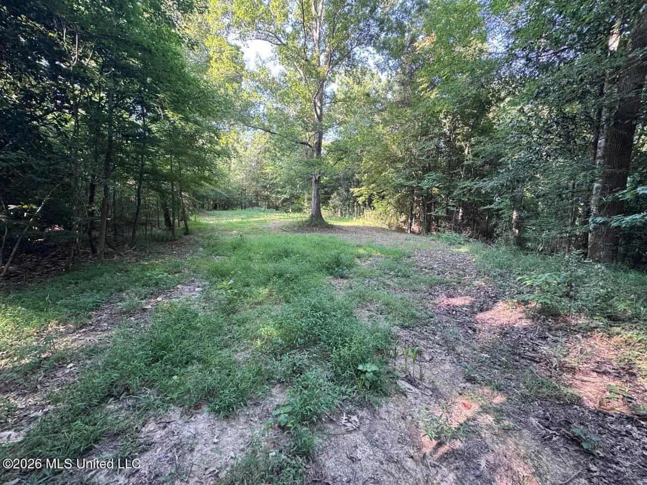 375± Acres in Jefferson County, MS Near Natchez Trace