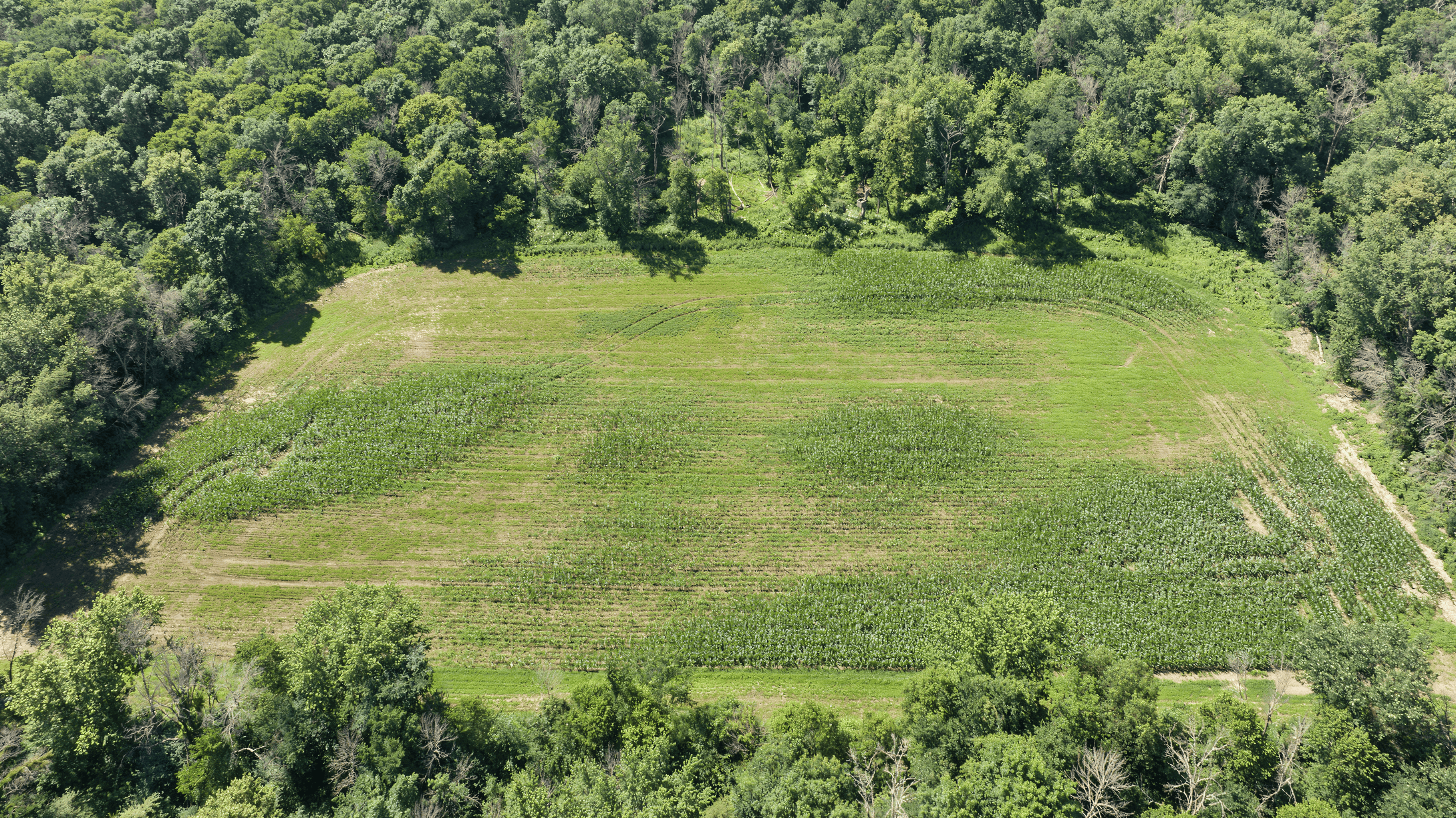 235± ACRE BLACK RIVER WATERFRONT & RECREATIONAL ESTATE