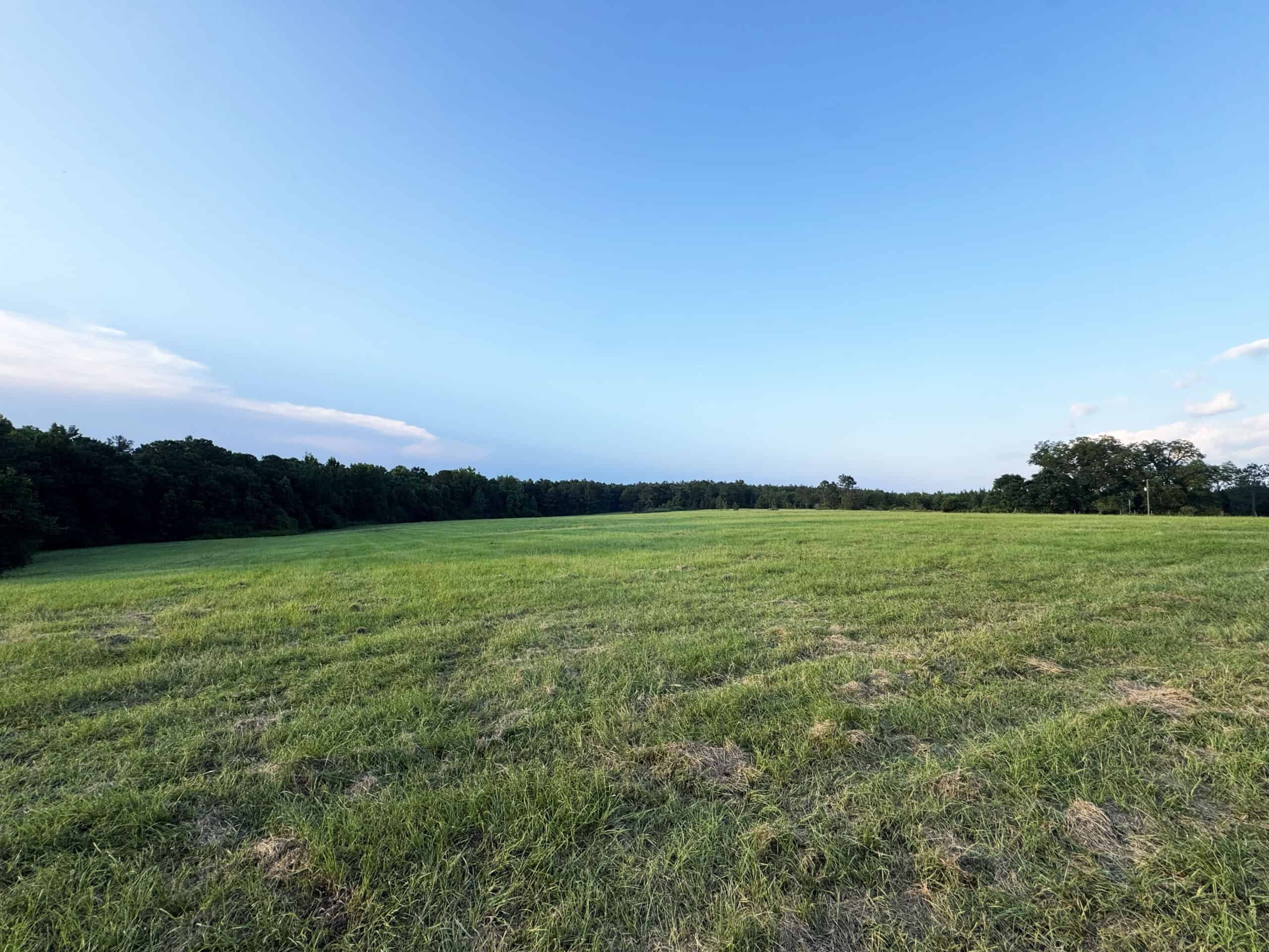 Cotton House Tract: premier 545ac hunting & recreational property in Randolph Cty
