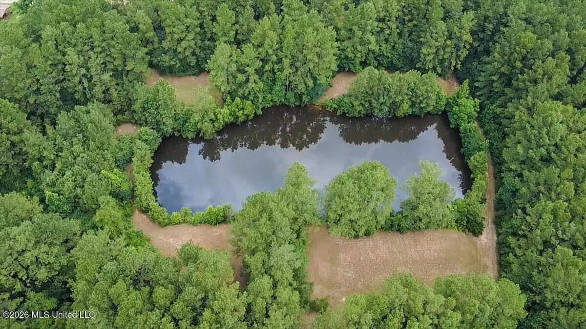 Log Cabin on 25 Acres with Ponds in Southwest MS