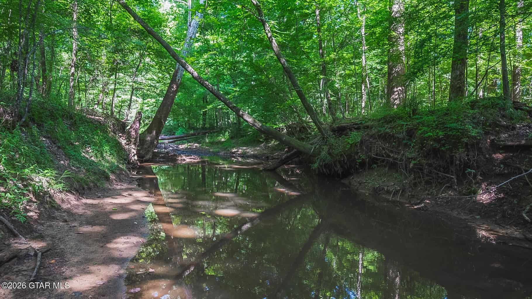 Trophy Bass Fishing and Hunting Property Starkville MS