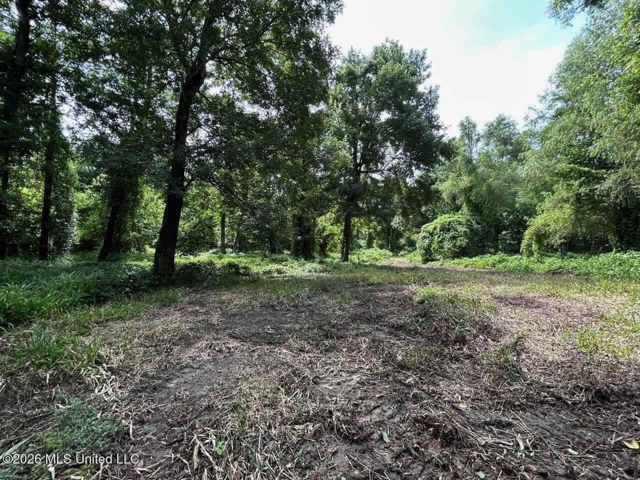 140± Acres in West Feliciana Parish, LA