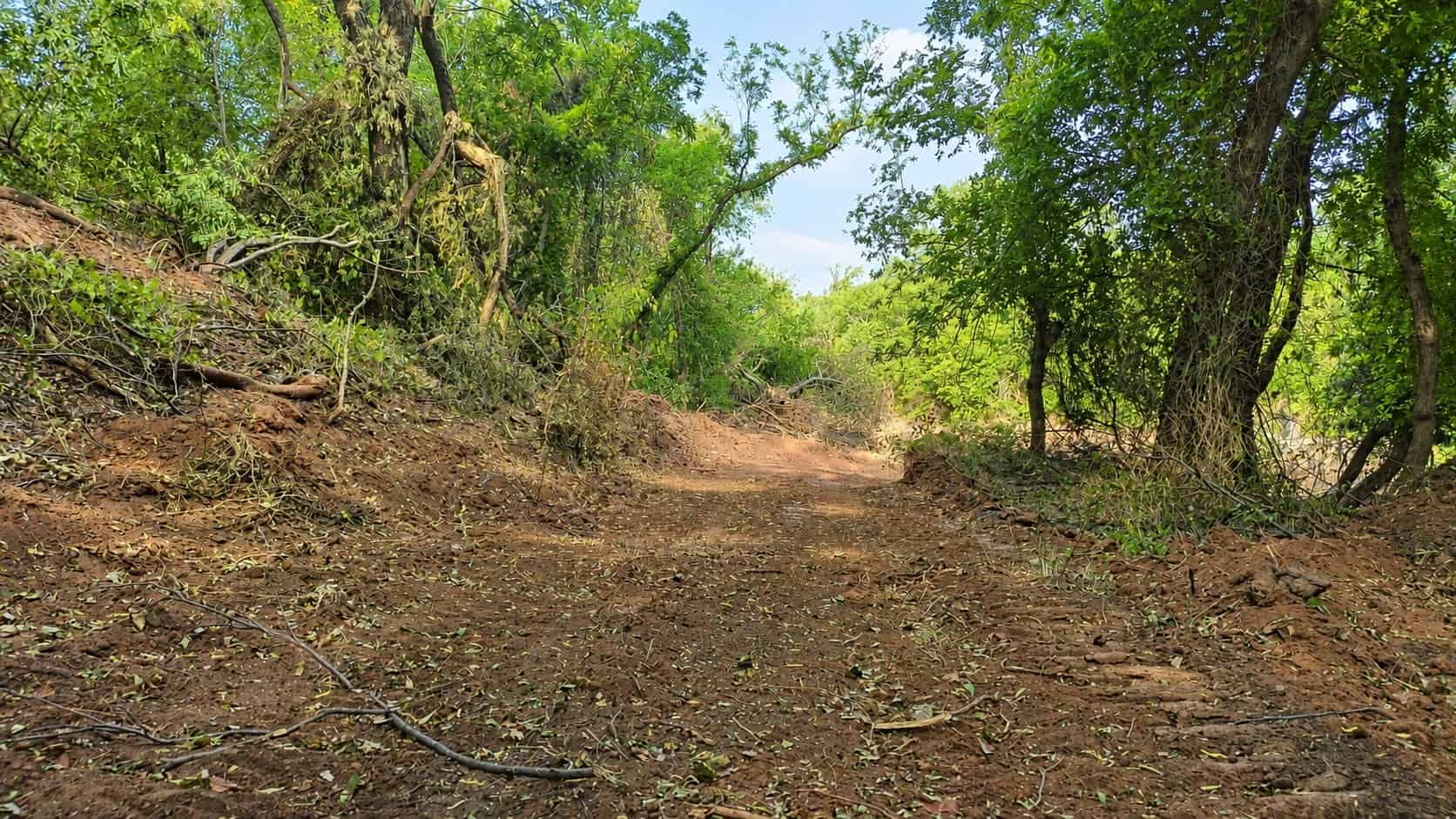 Stunning 391 ac Ranch in Clay County, TX
