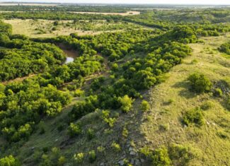 Stunning 391 ac Ranch in Clay County, TX