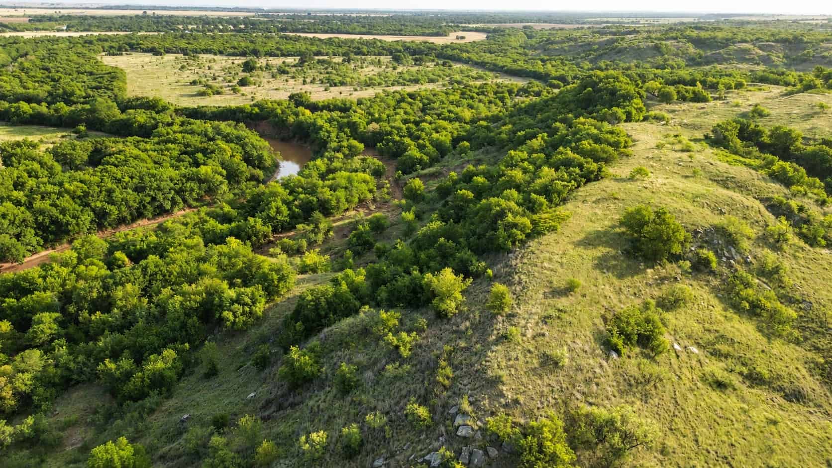 Stunning 391 ac Ranch in Clay County, TX
