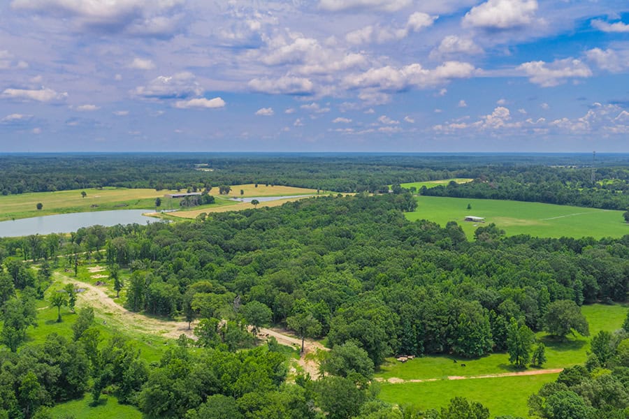 East TX Cattle Ranch & Hunting Land, Marshall Tx For Sale