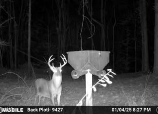 98± Acres in Natchez, MS on Second Creek