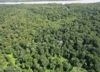 140± Acres in West Feliciana Parish, LA