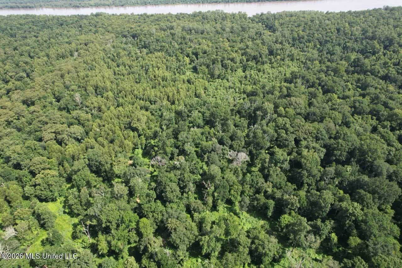 140± Acres in West Feliciana Parish, LA