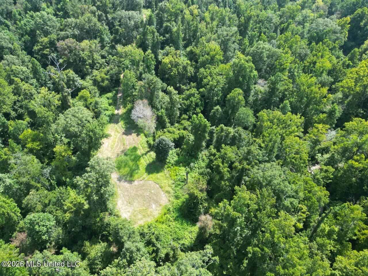 375± Acres in Jefferson County, MS Near Natchez Trace