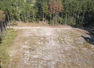 35 Acres for Sale in Pelahatchie, MS | Rankin County