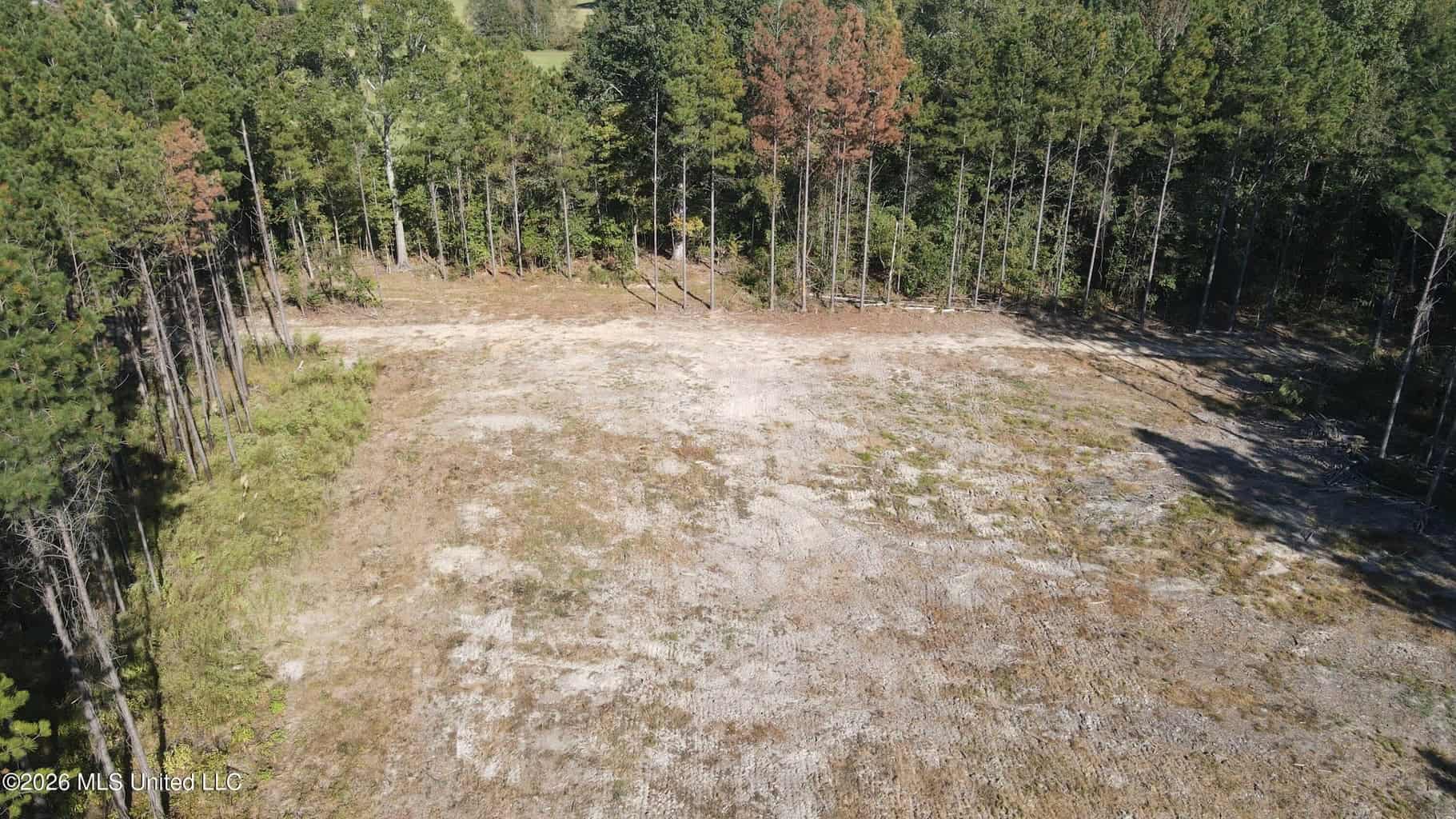 35 Acres for Sale in Pelahatchie, MS | Rankin County