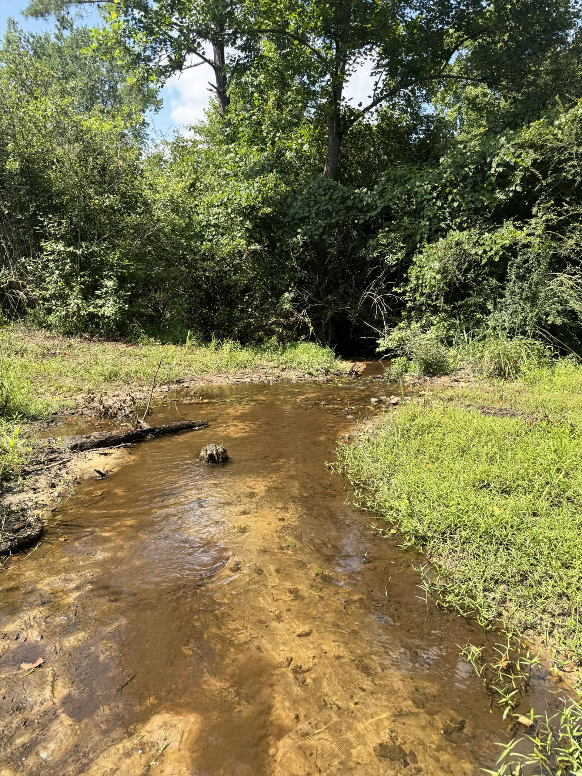 Cotton House Tract: premier 545ac hunting & recreational property in Randolph Cty