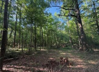 Hunting Property with Hwy and Creek Frontage