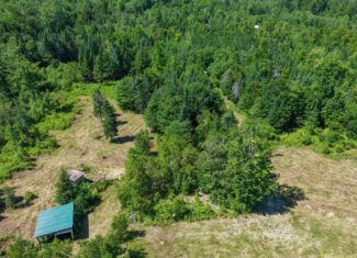 Your Maine Escape – 67 Acres with Cabin, Power, & ATV Access
