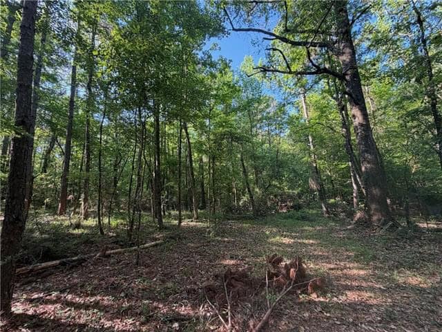 Hunting Property with Hwy and Creek Frontage