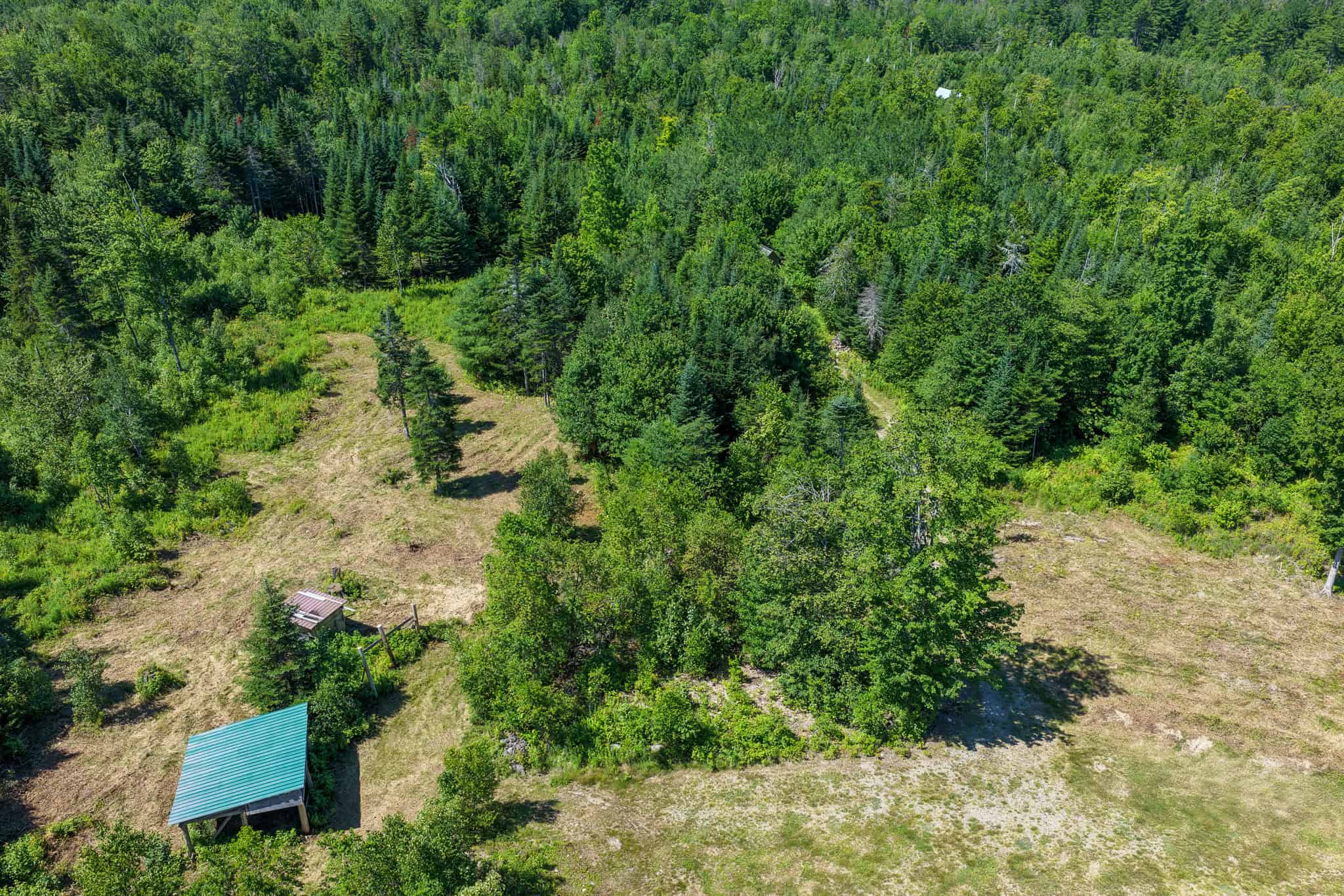 Your Maine Escape – 67 Acres with Cabin, Power, & ATV Access