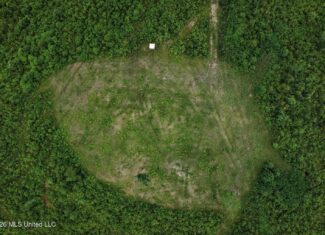 63.75 AC Amite County, MS Hunting Property
