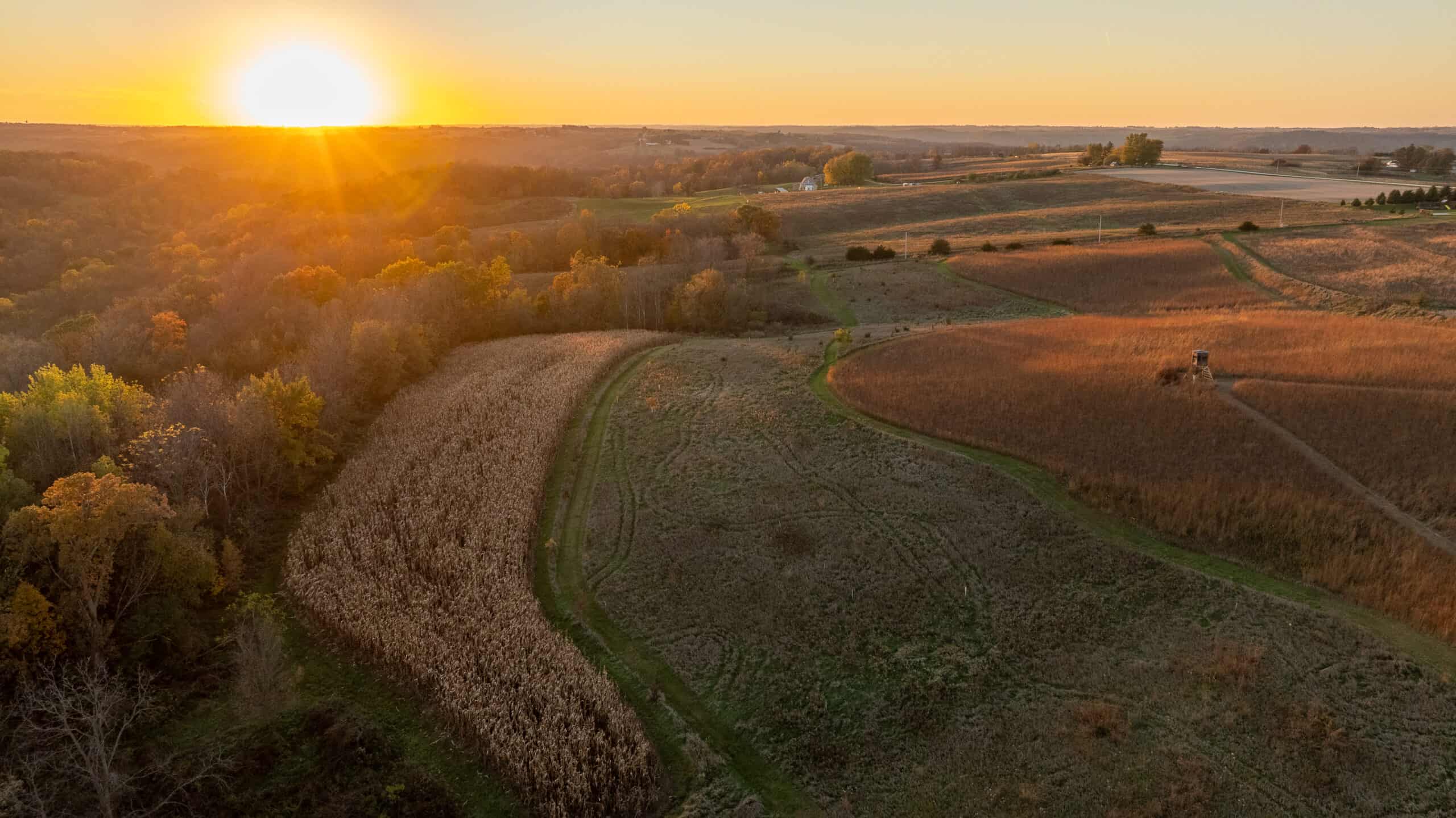 42+/- Acres with 4 Bedroom Home in Decorah IA