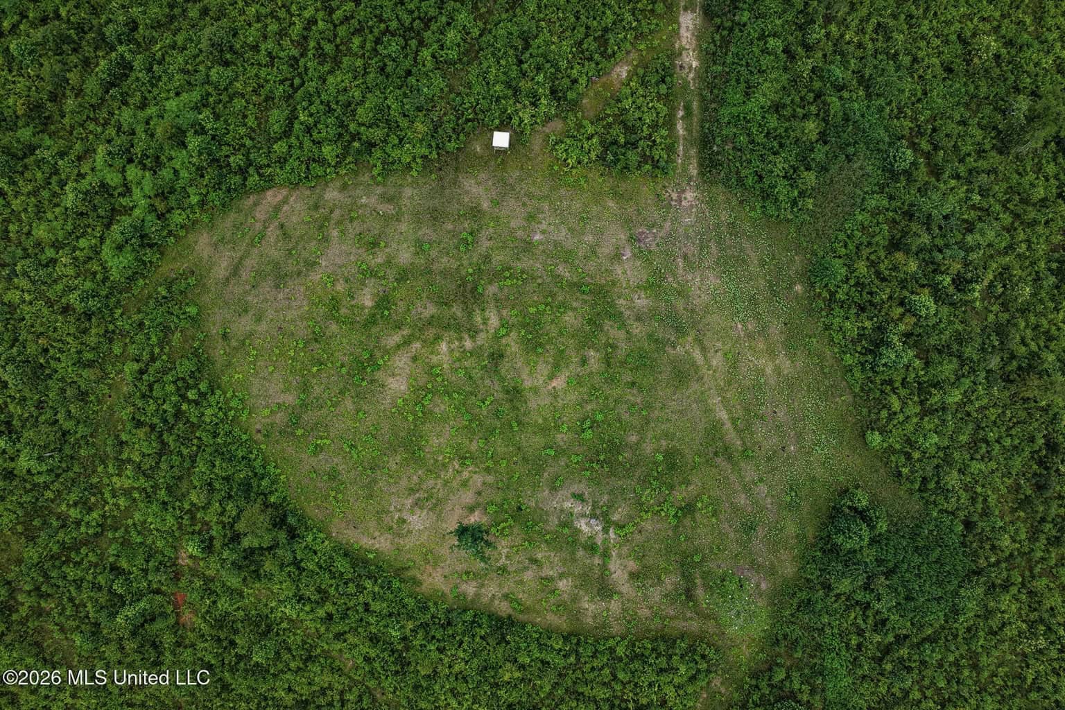 63.75 AC Amite County, MS Hunting Property