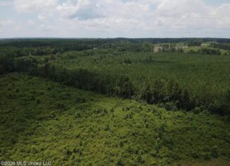 37 Acres for Sale in Morton, MS | Wooded Land
