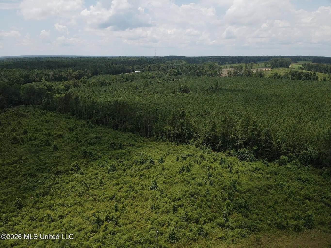 37 Acres for Sale in Morton, MS | Wooded Land